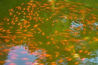 好评国产肉鸽续作《霓虹深渊2》首次公开Playtest正式开启！